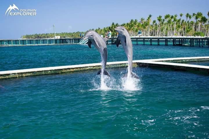 Punta Cana Sol Caribe Beach Pool Eksteriør billede
